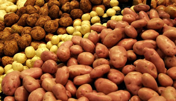 Ученые рассказали интересные и полезные факты о картофеле