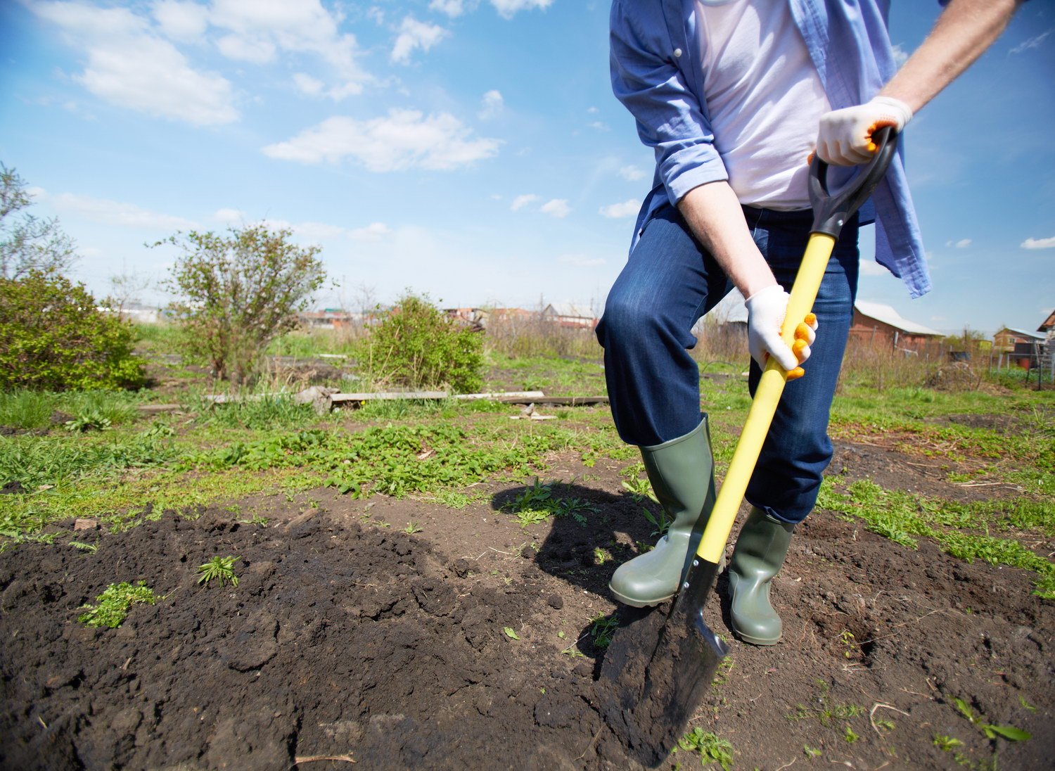 Можно ли копаться в земле. Копать огород. Лопата копать огород. Лопата для огорода. Вскопать огород.