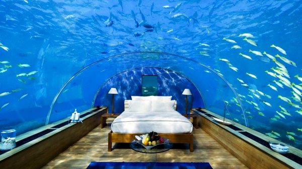 Спальня под водой с акулами: Необычный отель-вилла откроется на Мальдивах