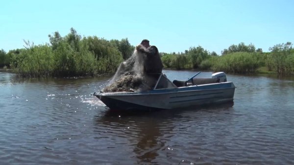 Волгодонские прокуроры-браконьеры избили поймавшего их полицейского