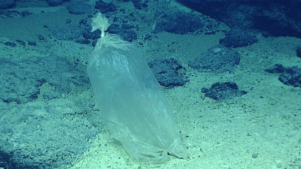 Японские ученые нашли пластиковый пакет на дне Марианской впадины