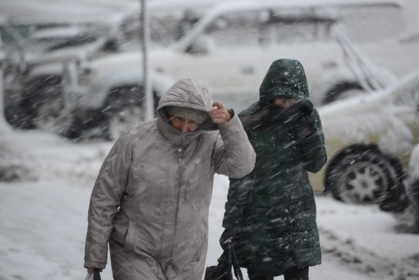 Жители севера Амурской области удивлены выпавшим снегом