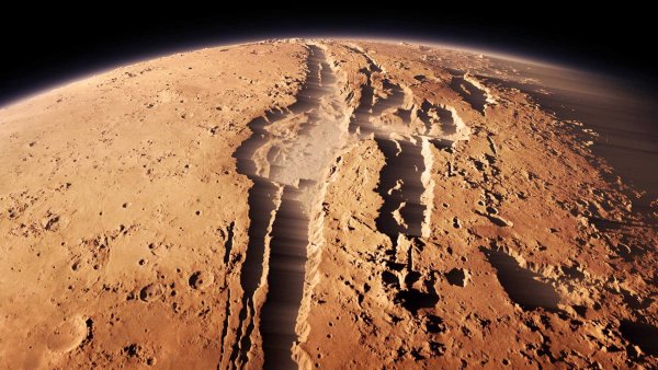 Уфологи нашли на Марсе череп улыбчивого гиганта
