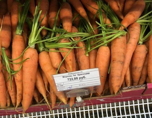 Эксперты объяснили почему килограмм моркови в Магадане стоит 700 рублей