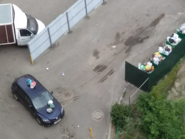 Воронежского «мастера парковки» наказали мусором