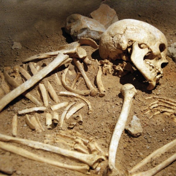 Человеческие останки, найденные около одного из соборов, могут принадлежать расстрелянному священнику
