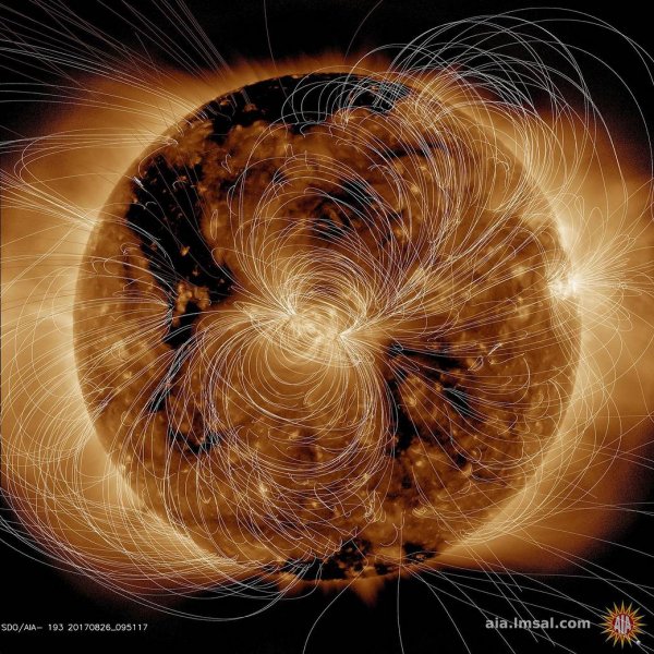 NASA показало невероятный снимок магнитного поля Солнца