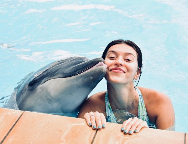 Фанаты разозлились на Регину Тодоренко из-за поцелуя с дельфином