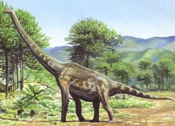 Палеонтологи нашли останки гигантского динозавра в ЮАР