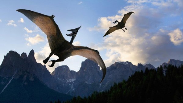 Огромный птерозавр пролетел в небе над Огайо – очевидцы