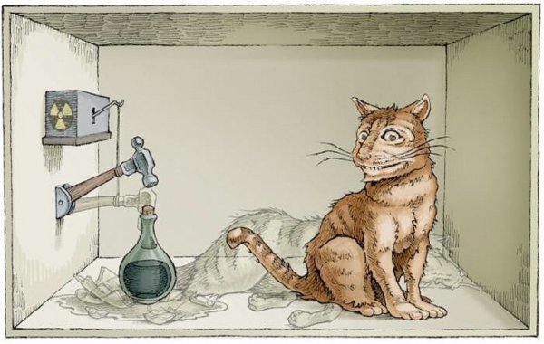 Ученые сделали оптического кота Шредингера
