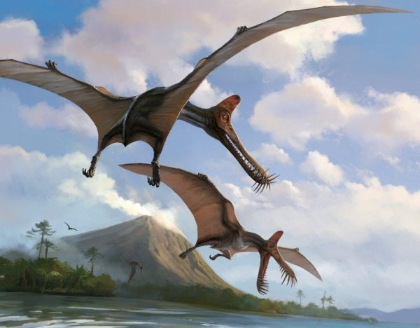 Над аномальным Розуэллом зафиксировали летающих динозавров