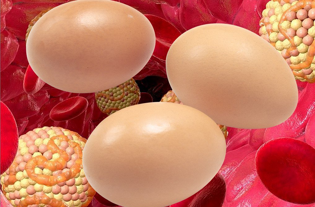 Сколько холестерина в яйце. Яичный холестерин. Холестерин в яйцах. Холестерин в яйце курином. Яйца понижают холестерин.