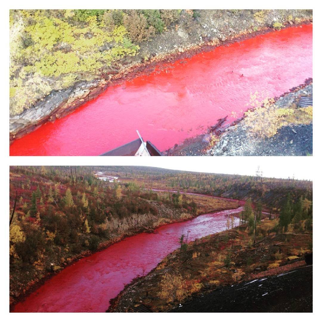 Где красненькая. Река Далдыкан в Норильске окрасилась в красный цвет. Красная река Далдыкан. Далдыкан в Норильске. Кровавая река Далдыкан Норильск.
