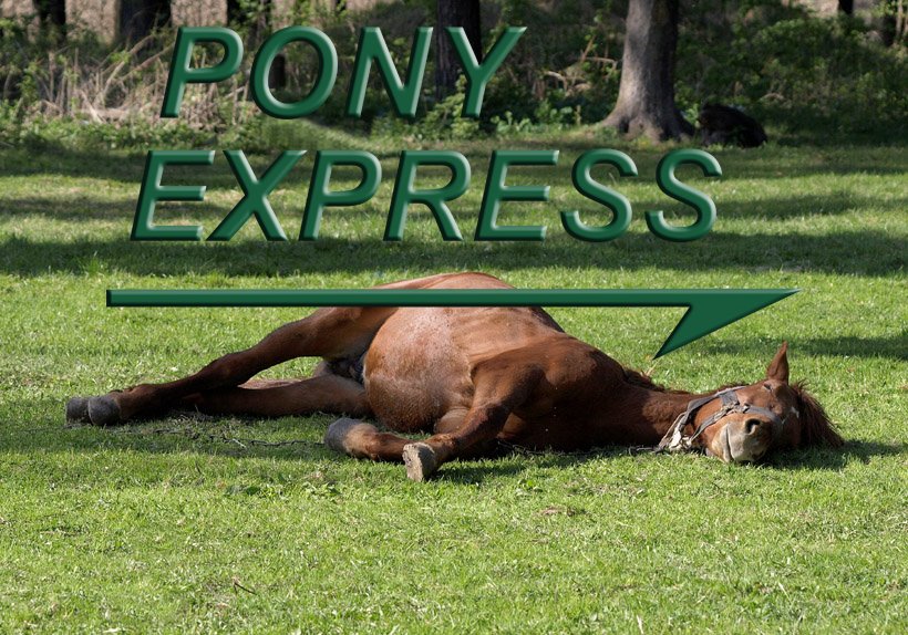Доставка pony. Pony Express. Пони экспресс лого. Пони экспресс прикол. Пони экспресс картинки.