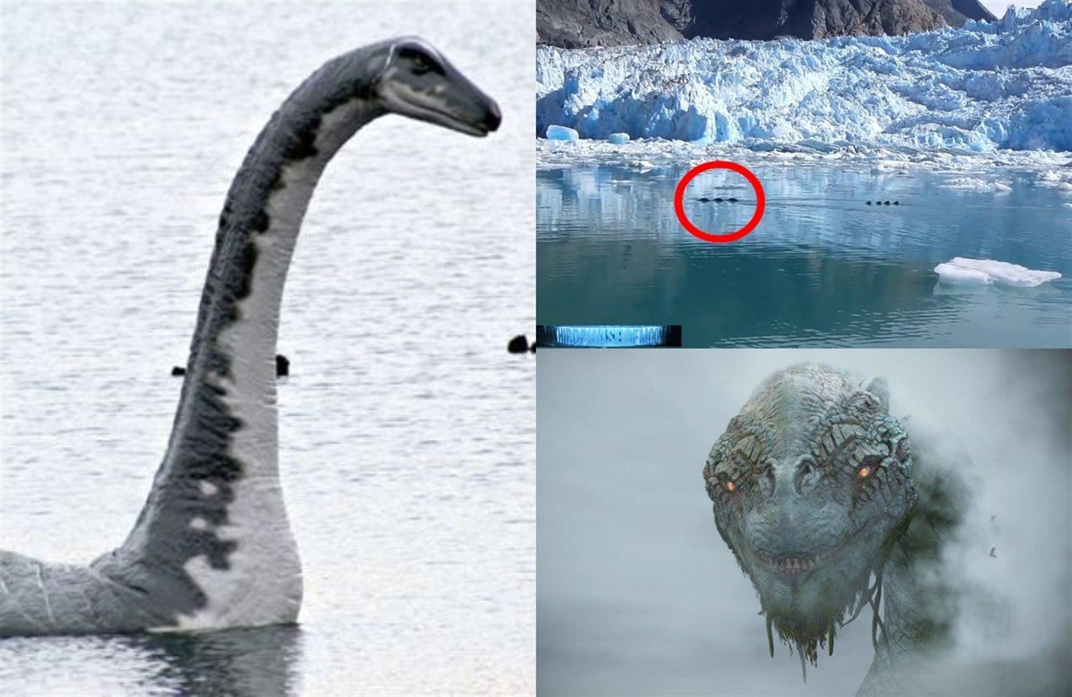 Какие бывают настоящие. Лохнесское чудовище на озере лох-Несс. Несси Лохнесское чудовище 2021. Плезиозавр Несси. Чудовище Лохнесс Плезиозавр?.