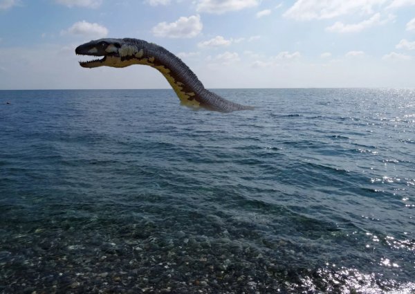 Детеныш змея-людоеда. В Черном море засняли 30-метрового монстра