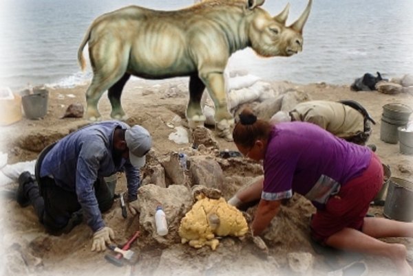 Заповедник рептилоидов найден в Крыму? Возле Керчи нашли труп 5-тонного носорога