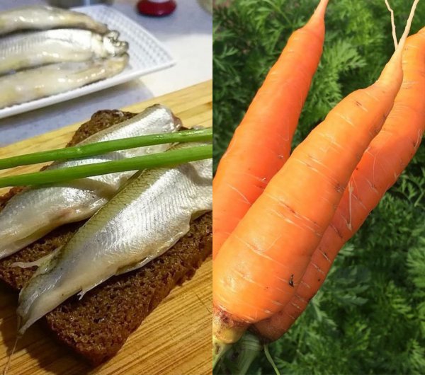 Зрение станет острым: Морковь, тыква и рыба делают глаза здоровыми