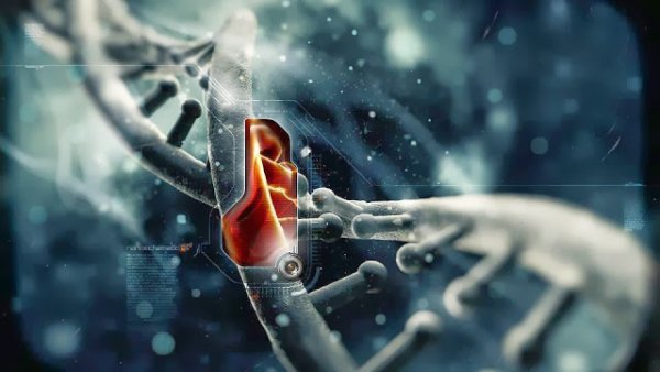 Коварный ген. Ученые выявили еще одну наследственную мутацию, ответственную за развитие рака