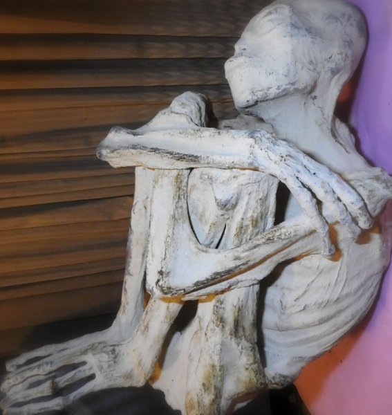 Раскрыт секрет происхождения трехпалой мумии без ушей, найденной в Перу