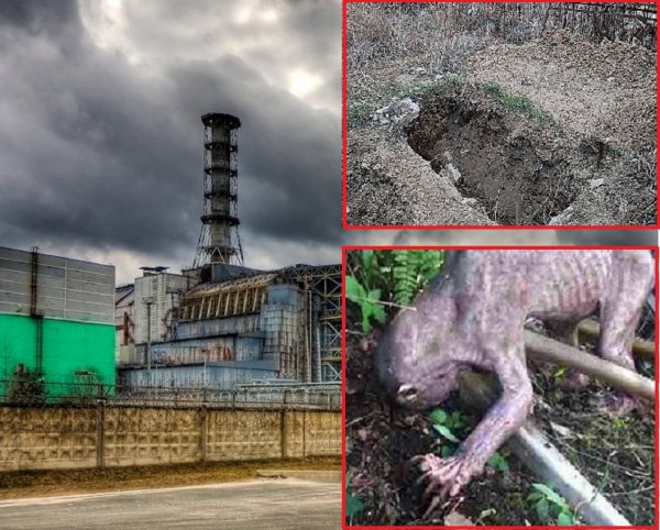 Восстание Голлумов: Потерянный ликвидатор разрыл могилу в Чернобыле