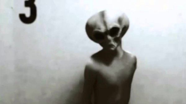 Яйцеголовый мужчина с Марса. Камера домофона засняла реального пришельца возле квартиры в России
