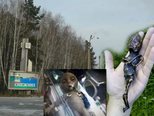 На Урале нашли пришельца: Серый карлик залез в дом к пенсионерке
