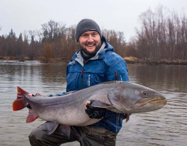 Охотился 6 лет: Российский рыболов-спортсмен поймал 37 кг трофей на самодельную «мушку»