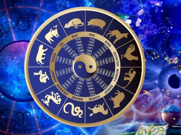Союз, благословлённый небесами: Астролог назвал неразлучные пары по китайскому гороскопу