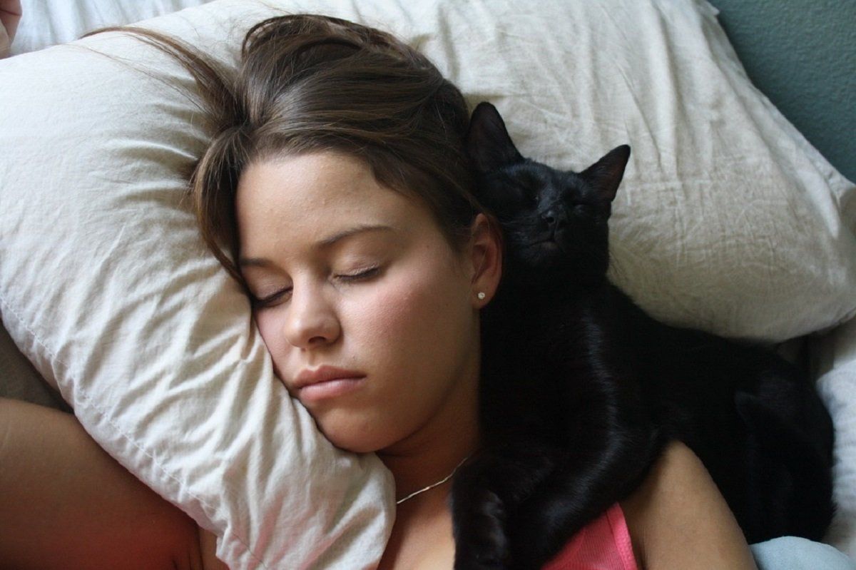 Почему кошки спят со мной. Спящие девушки. Котик лежит на девушке.