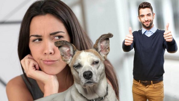 Собака никогда не врет: Животное расскажет об изменах мужа