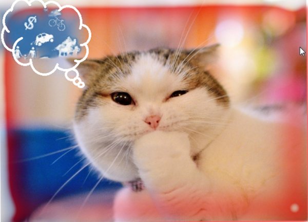 Кот чихает - счастье намечает: Как котейки могут исполнить мечты