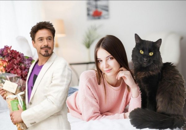 Чёрный кот – мужчина не жмот: Какой котик притянет богатого любовника в начале весны